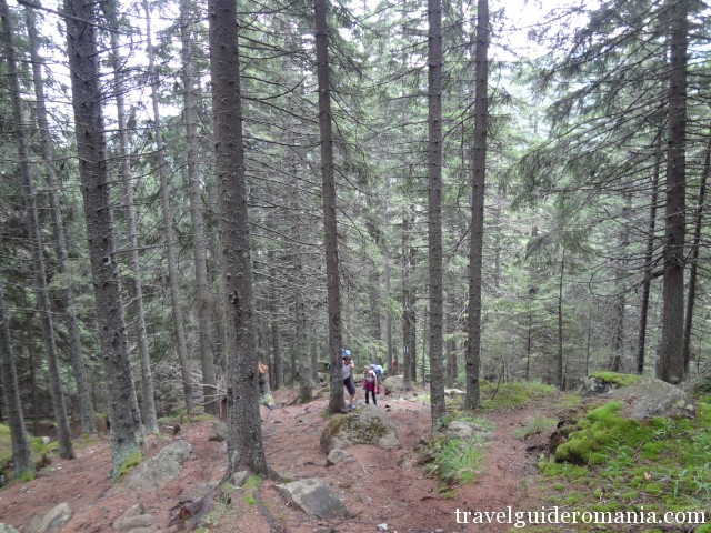hiking path to Pietrele lodge