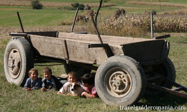 children at the countryside