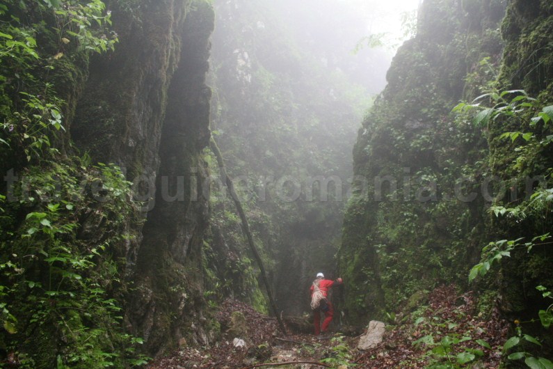 entrance in Cheia Rea canyon - Apuseni Mountains