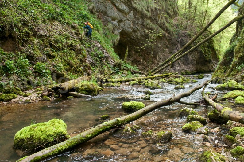 Tourist Attractions in Romania - Galbenei Gorges - Apuseni Mountains