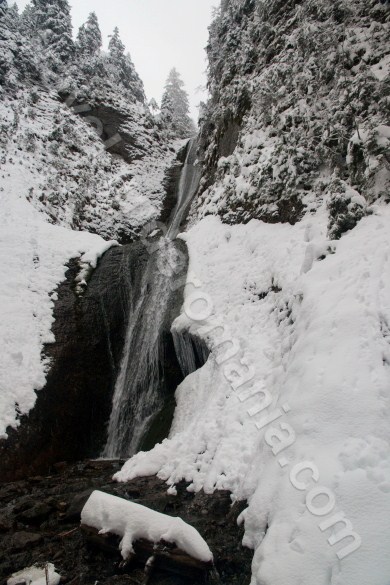 Duruitoarea waterfall - Ceahlau Mountains Duruitoarea waterfall in Ceahlau Mountains
