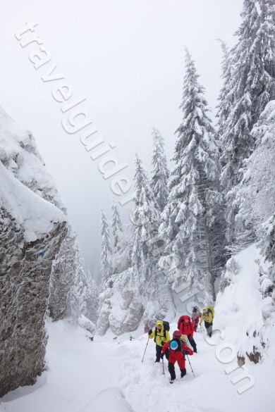 Trail from the mountain shelter to Dochia chalet Guided trips in Ceahlau Mountains - Travel Guide Romania