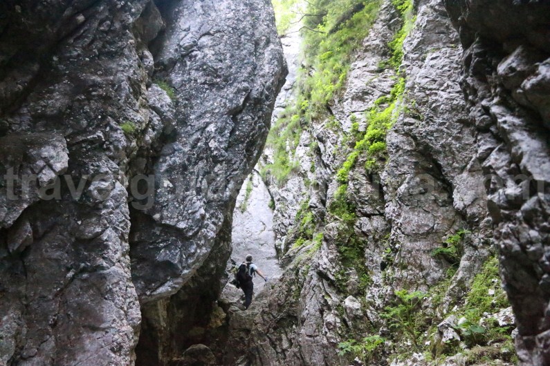 bucegi-natural-park-horoabei-canyon