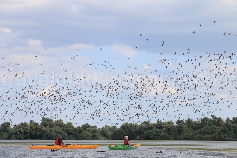 discover-danube-delta-special-places-to-see-in-romania