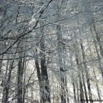 travelguideromania_sf ana -1 (7)