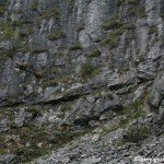 travelguideromania14