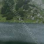 Galesu Lake – Romania