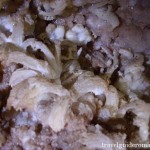 Wind Cave – Vantului cave- Padurea Craiului mountains