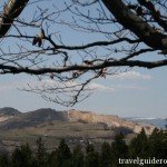Site of former exploiting mining project at Rosia Montana