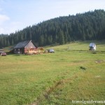 camping area in Apuseni Natural Park – Glavoi glade