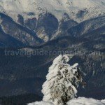 winter in Apuseni mountains