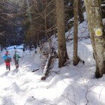 hiking in Piule – Iorgovanul mountains