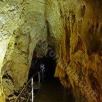 Pestera Ursilor – Apuseni Natural Park