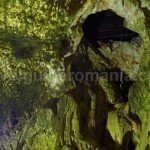 The cave’s entry used by the Traian Curta