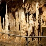stalagmites in Bears Cave – Apuseni Nature Park