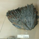 Exhibit from Gold Museum – Brad city