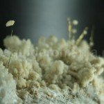 Gold Museum from Zarandului Country