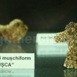 Gold exhibit from Gold Museum – Romania