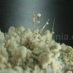 Gold exhibit in Gold Museum – Brad city