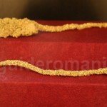 Gold mini lamellae – The lizard