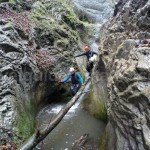 Oselu Canyon – Bihorului Mountains