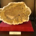 The gold collection from Gold Museum – Brad city