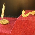 The lamellar gold– Eminescu’s Feather and gold lamellae – The Fern