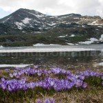 Bucura lake – Retezat mountains