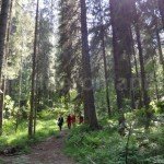 Trail to Bortig Pit cave – Padis -Apuseni mountains
