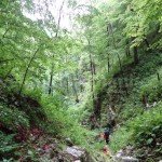 Cheia Rea dry valley – Apuseni mountains