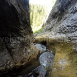 Moloh valley – Apuseni Natural Park