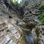 Moloh valley – tributary of the Someșul Cald Valley