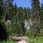 Rădeasa Glade – Apuseni natural Park