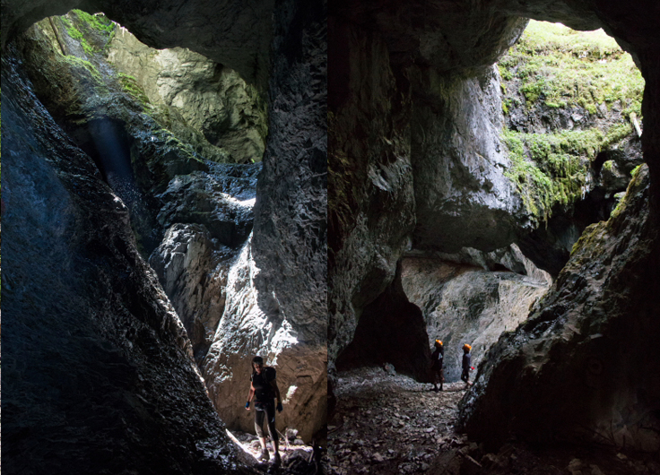 nature in Apuseni mountains