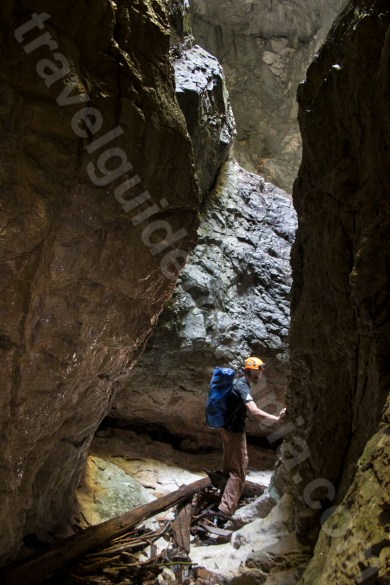 nature in Apuseni mountains