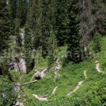Trail to Cetatile Radesei Cave
