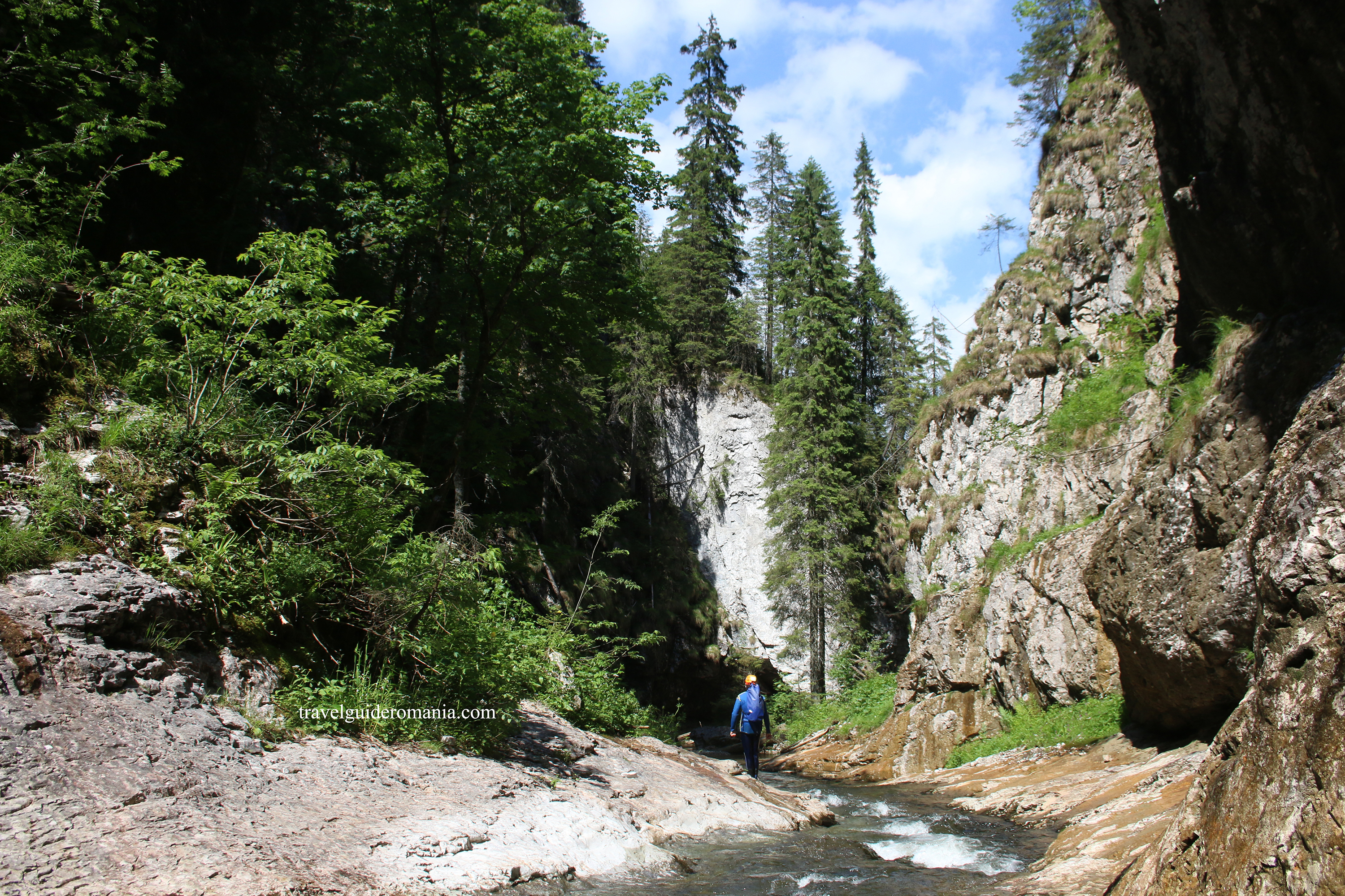 nature in Apuseni mountains