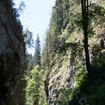 Warm Someș gorges – Apuseni Mountains