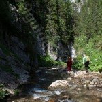 Wild nature in Apuseni mountains