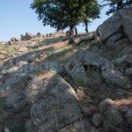 Climbing to Tutuiatu peak – Macin Mountains