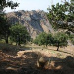 Greci Village – Tutuiatu Mountain tourist trail