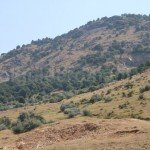 characteristic landscape of Macin Mountains