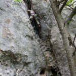 Climbing at Vartop – Arieseni – Romania