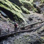 The mystery of the Scarisoara underground glacier