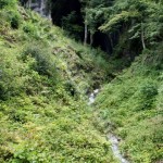 Entrace of Meziad cave – Apuseni mountains