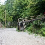 The path leading to Meziad cave – Romania
