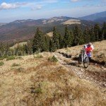 Biking near Stana de Vale resort