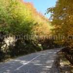 Biking to Stana de Vale resort – Romania