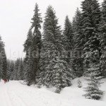 Hiking to Wonder spring (Izvorul Minunilor) – Stana de Vale resort