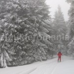 Ski touring in Stana de Vale ski resort – Apuseni